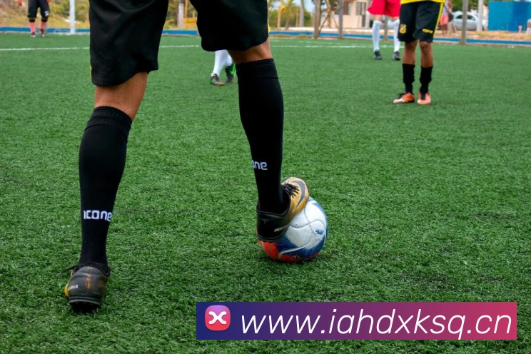 开云手机网页入口平台生态图