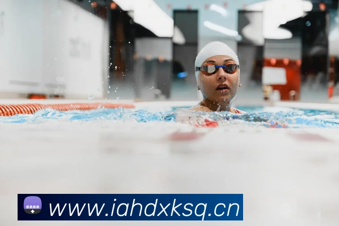 开云手机网页入口APP 封面图